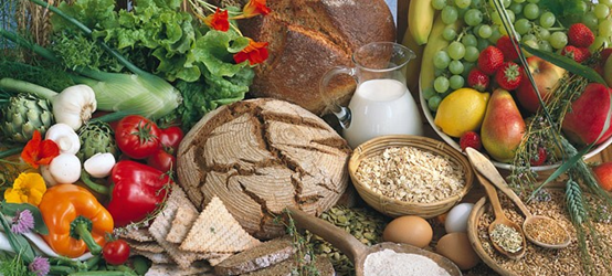 Vegetables, grains, fruits and milk as sources of glucose