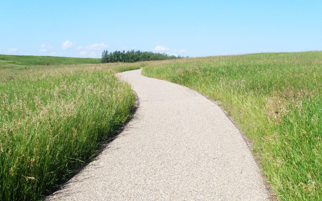 A Path to Athletic Success – National Champion at age 37: The Chris Harig Story