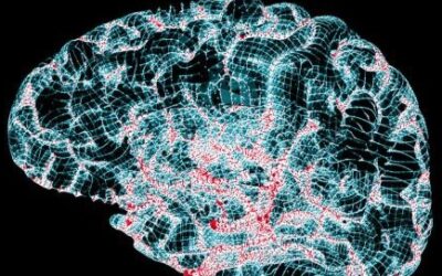 Improving Brain Health Tips