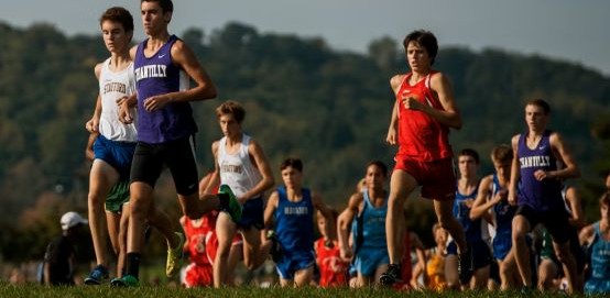 Building A Successful Junior Athlete Framework