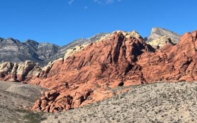 Natural Food Carbohydrates for Peak Performance