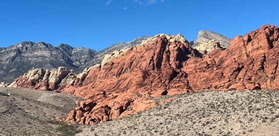 Natural Food Carbohydrates for Peak Performance