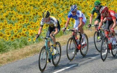 Whole Foods Over Supplements for Peak Performance