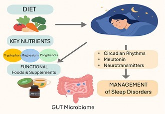 Diet key nutrient sleep connection
