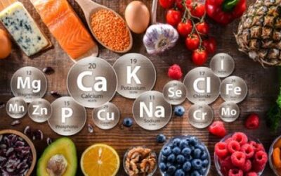 Minerals Essential to Maintaining Our Physiological Health