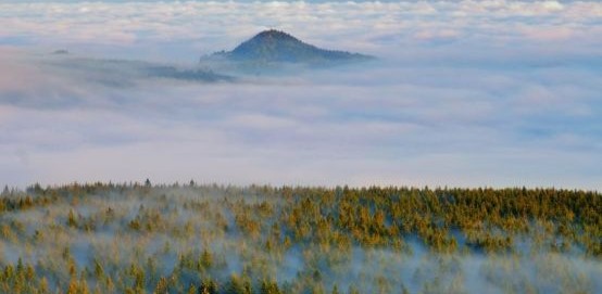 Blood Sugar Management