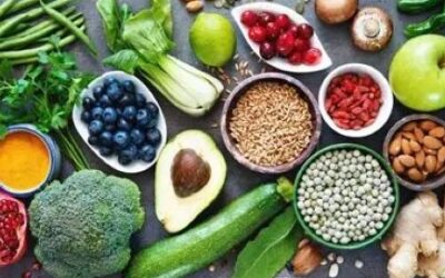 Nutritional Impacts of Alternative Animal Source Foods