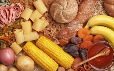 Examining Human Energy Systems