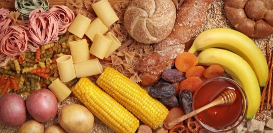 Examining Human Energy Systems