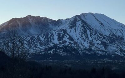 Cardiovascular Adaptions to Exercise Training