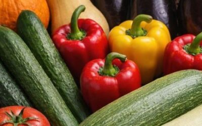 Vegetable Fruit Nutrient Chameleons