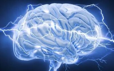 Healthy Food vs. Processed Effect on Children