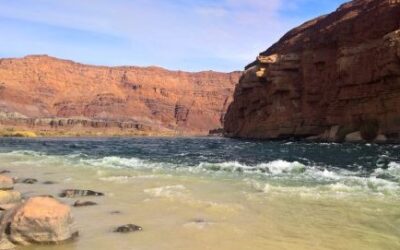 How to Instantly Improve Your Mood