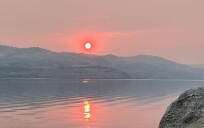 How to Naturally Build Stronger Eyes and Sharper Vision