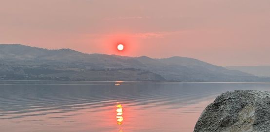 How to Naturally Build Stronger Eyes and Sharper Vision