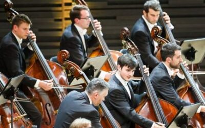 Music a Scientific Model for Brain Function