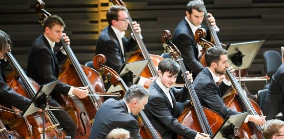 Music a Scientific Model for Brain Function