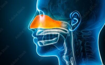 Nasal Breathing Improves Cardiovascular Health and Athletic Performance