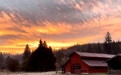 Sunlight to Prevent and Reduce Disease Risk