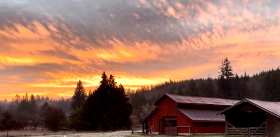 Sunlight to Prevent and Reduce Disease Risk