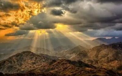 Maintaining Inflammation Balance