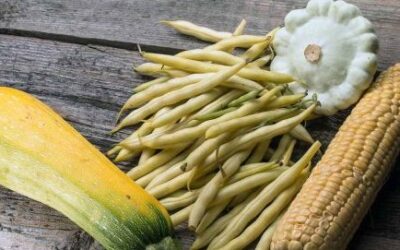 Plant Pairings for a Healthier Bigger Harvest