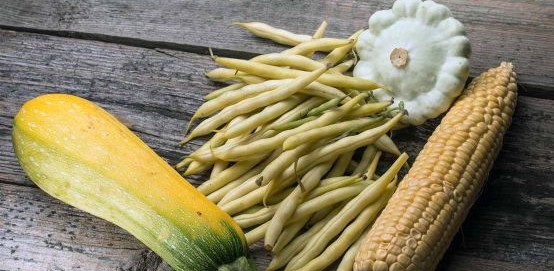 Plant Pairings for a Healthier Bigger Harvest