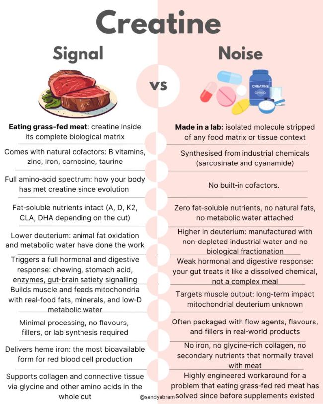 Creatine from Natural Food vs. Powder diagram by Sandy Abram