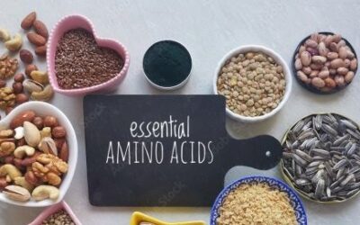 Digestible Indispensable Amino Acid Score