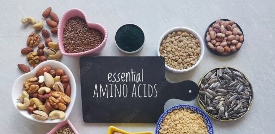 Essential amino acids