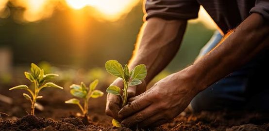 How Growing Your Food Builds Peak Performance