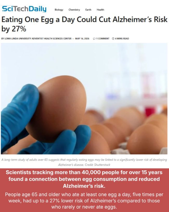 SciTechDaily Eating One Egg Daily Cuts Alzheimer Risk by 27%