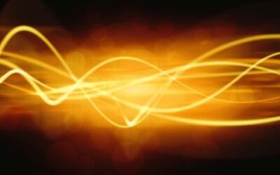 Your Body Runs on Signal Carriers