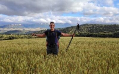 Long Distance Walking Benefits