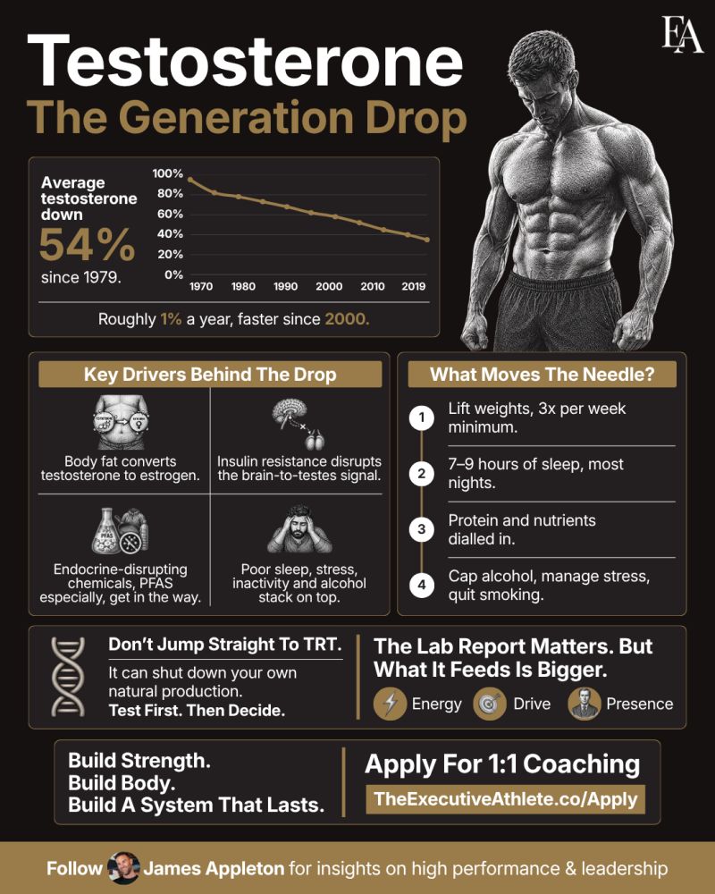 The Testosterone Generation Gap by James Appleton