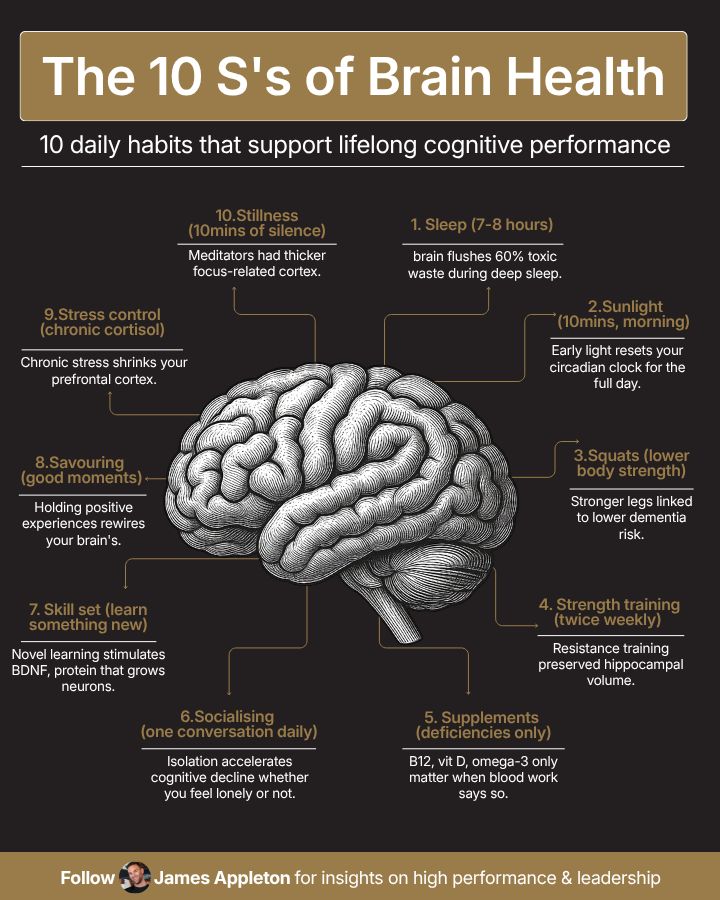 The 10 S's of Brain Health diagram by James Appleton