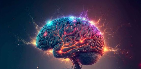 Keeping the Brain’s Cleanup System Young