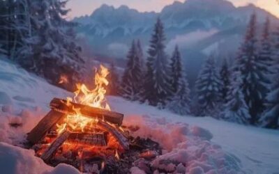 Harmonizing a Winter Strategy with the Rhythm of Life