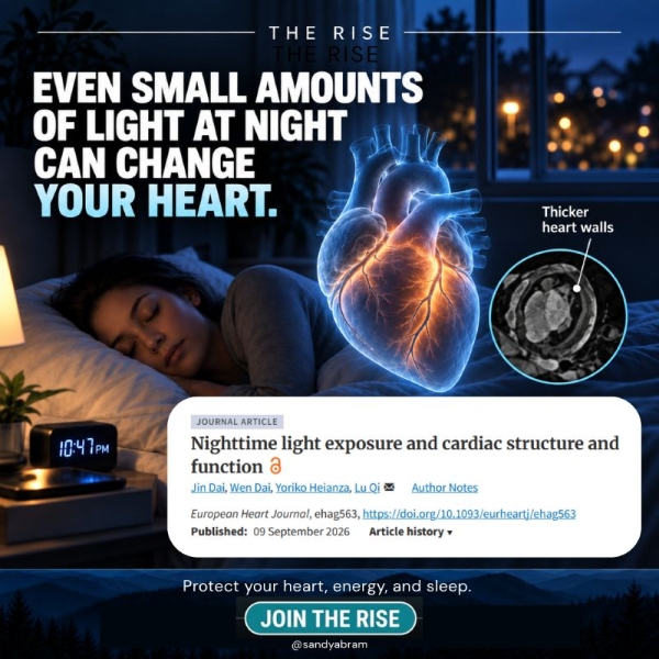 Even Small Amounts of Light at Night Can Change Your Heart by Sandy Abram