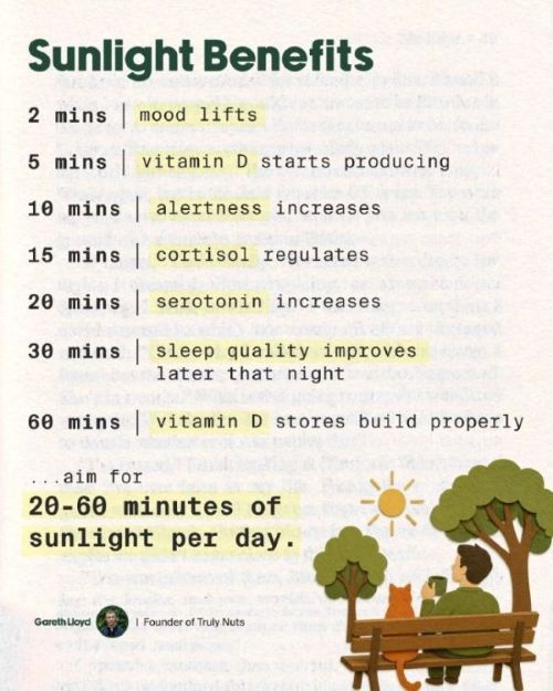 Sunlight Benefits diagram by Gareth Lloyd