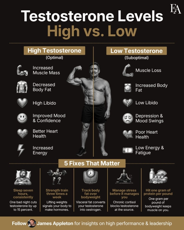 Testosterone Levels Five Fixes that Matter by James Appleton