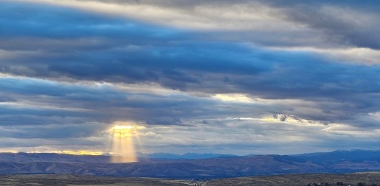 Photons from Natural Sunlight Optimize Mitochondria Building