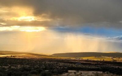 Sunlight as a Superfood