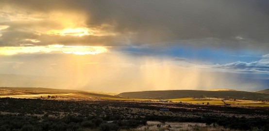 Sunlight as a Superfood