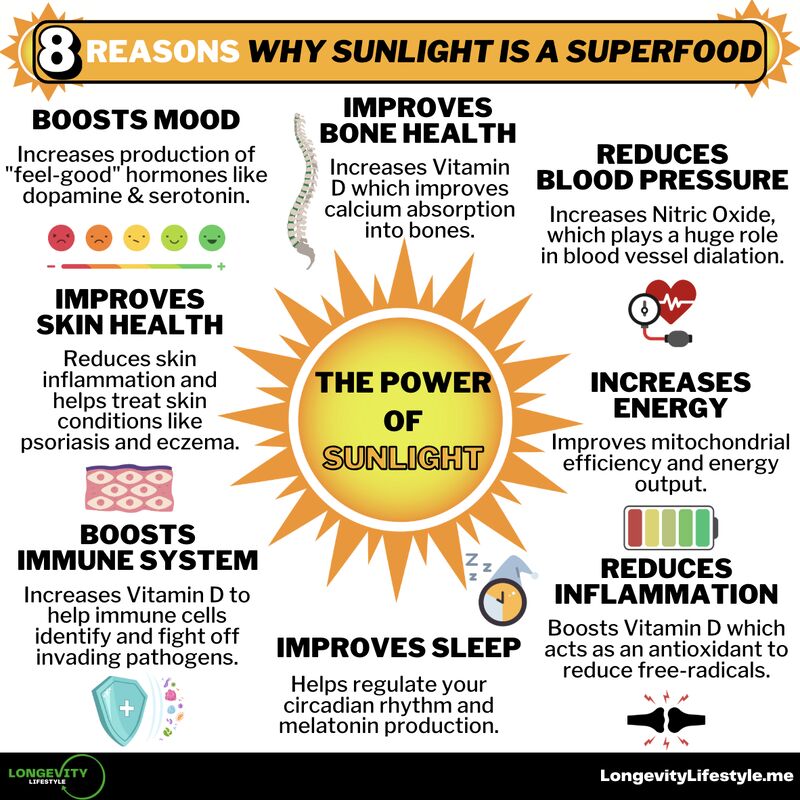 Sunlight is a Superfood by Andrew Panella