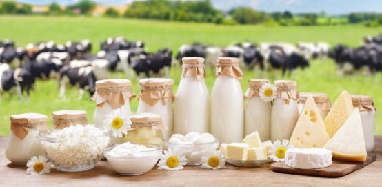 Full-Fat Dairy Lowers Dementia Risk